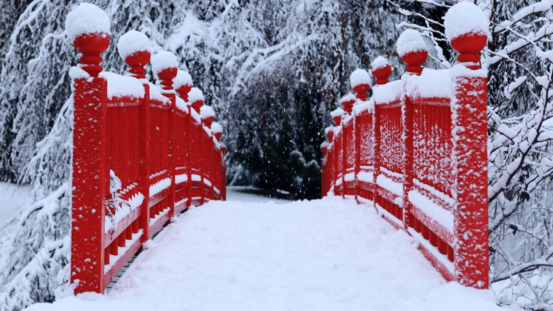 red japanese bridge winter
