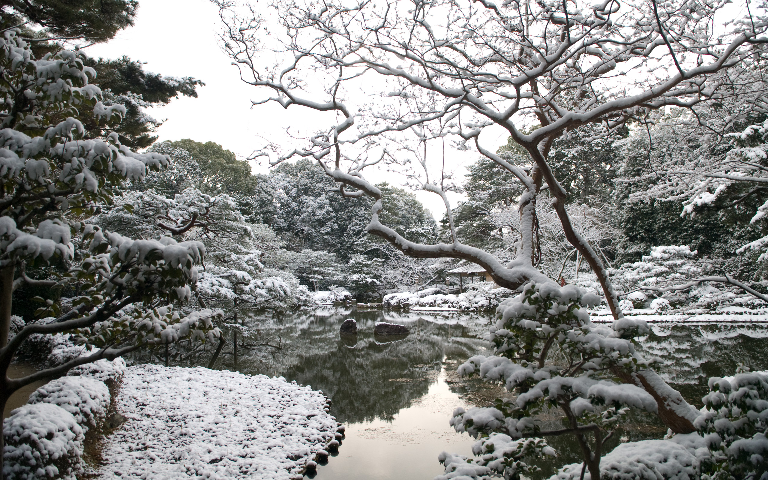 Jeffrey Friedl's Blog Snowy Round Trip To The Heian Shrine (with Desktop Background Bonus)