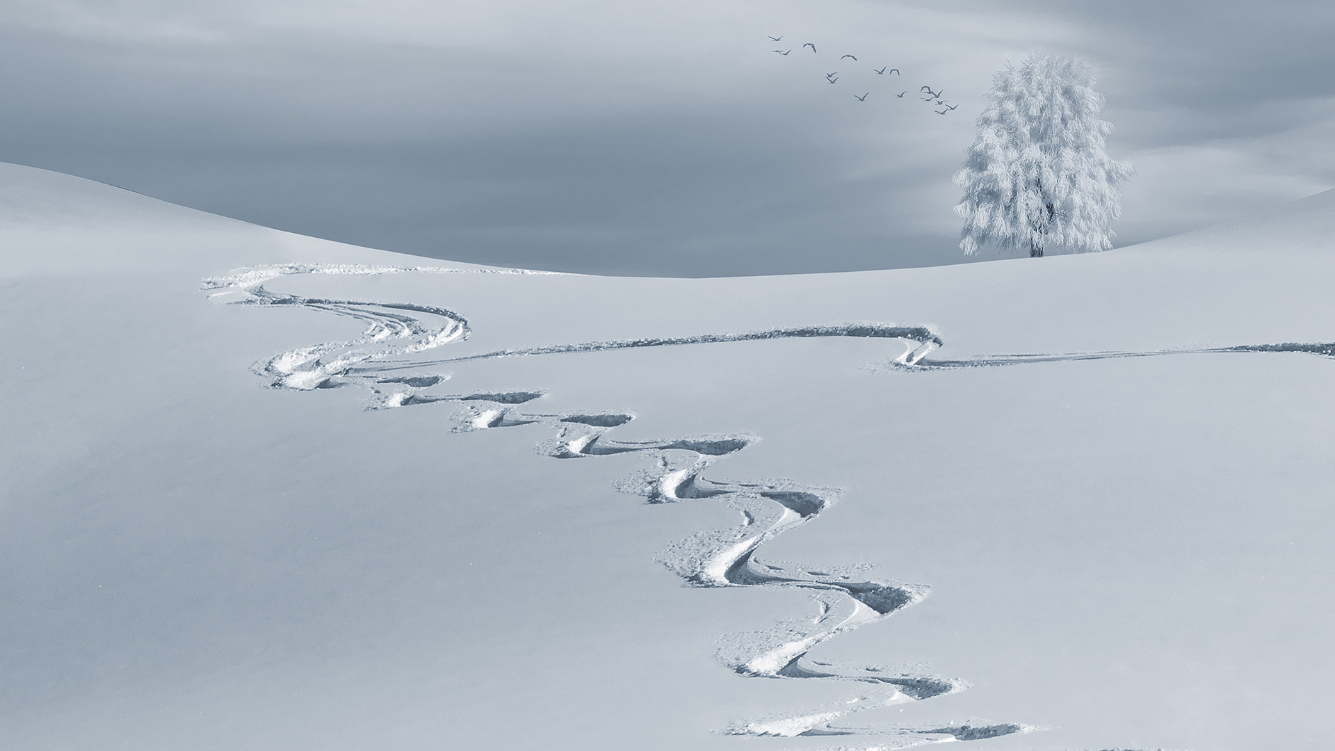 Winter Tracks Laptop Background