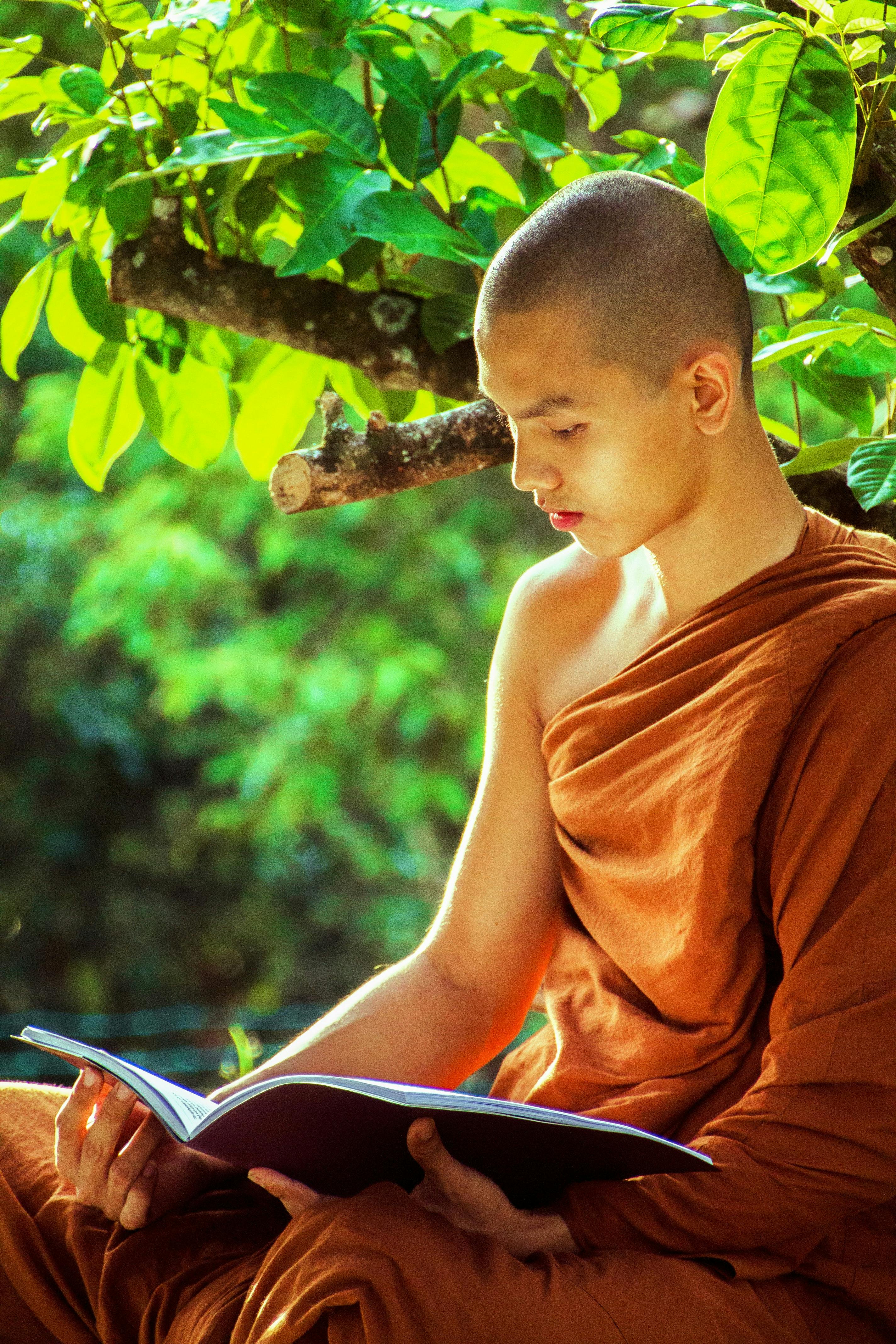 Buddhist Monk Photo, Download The BEST Free Buddhist Monk & HD Image
