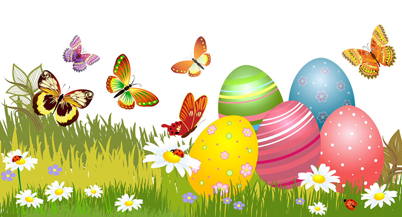 Desktop Wallpaper Easter Humor Butterflies egg matricaria Grass