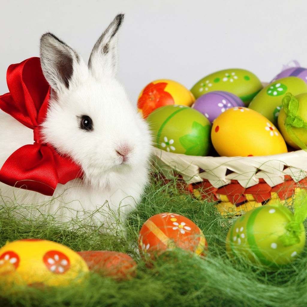 Easter White Rabbit 1024 x 1024 iPad Wallpaper