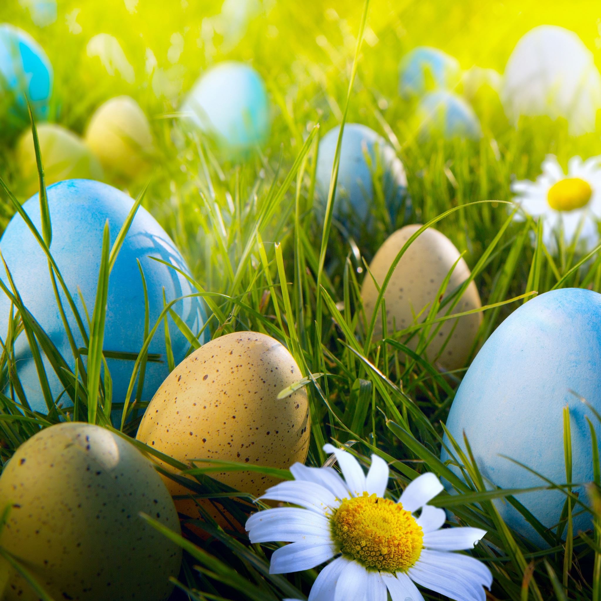Best Easter iPad Air HD Wallpaper