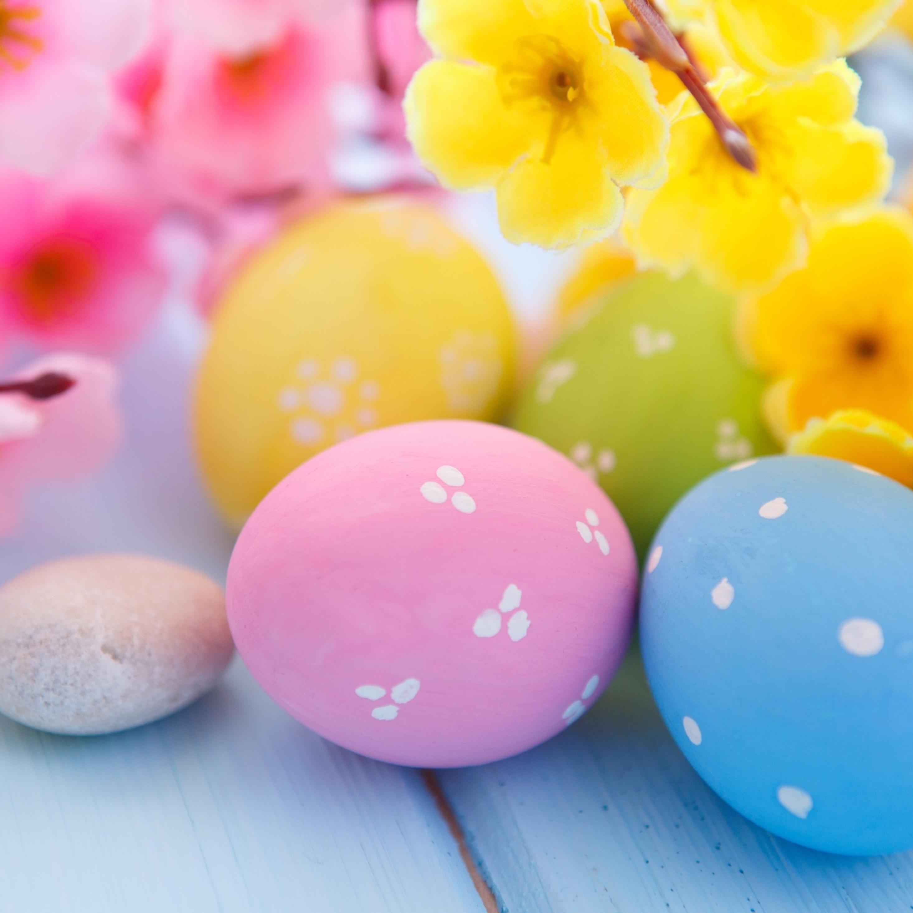 Easter Eggs and Spring Blossoms iPad Pro Retina Display HD 4k Wallpaper, Image, Background, Photo and Picture