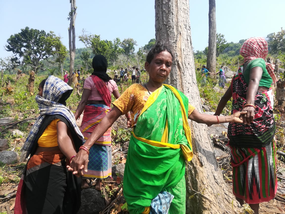 Plantations Over People: India's Covid 19 Recovery Plan For Indigenous Groups. The Third Pole