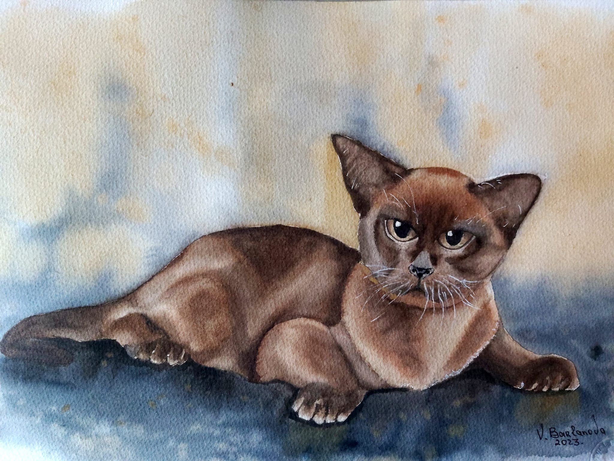 Home Pet. Burmese Cat. Chocolate Color. Original Watercolor