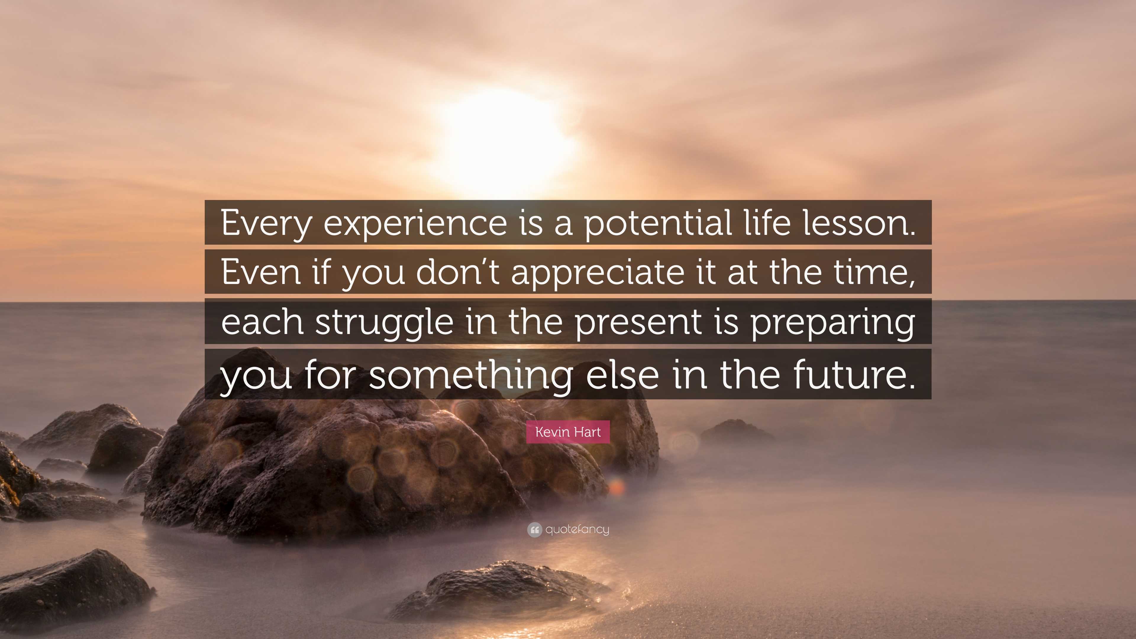 Kevin Hart Quote: “Every experience is a potential life lesson. Even if you don't appreciate it at the time, each struggle in the present i.”