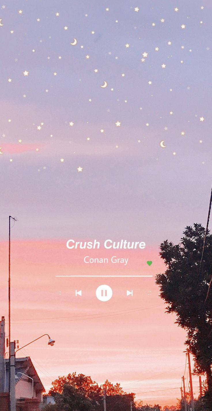 Download Conan Gray Music Aesthetic Wallpaper