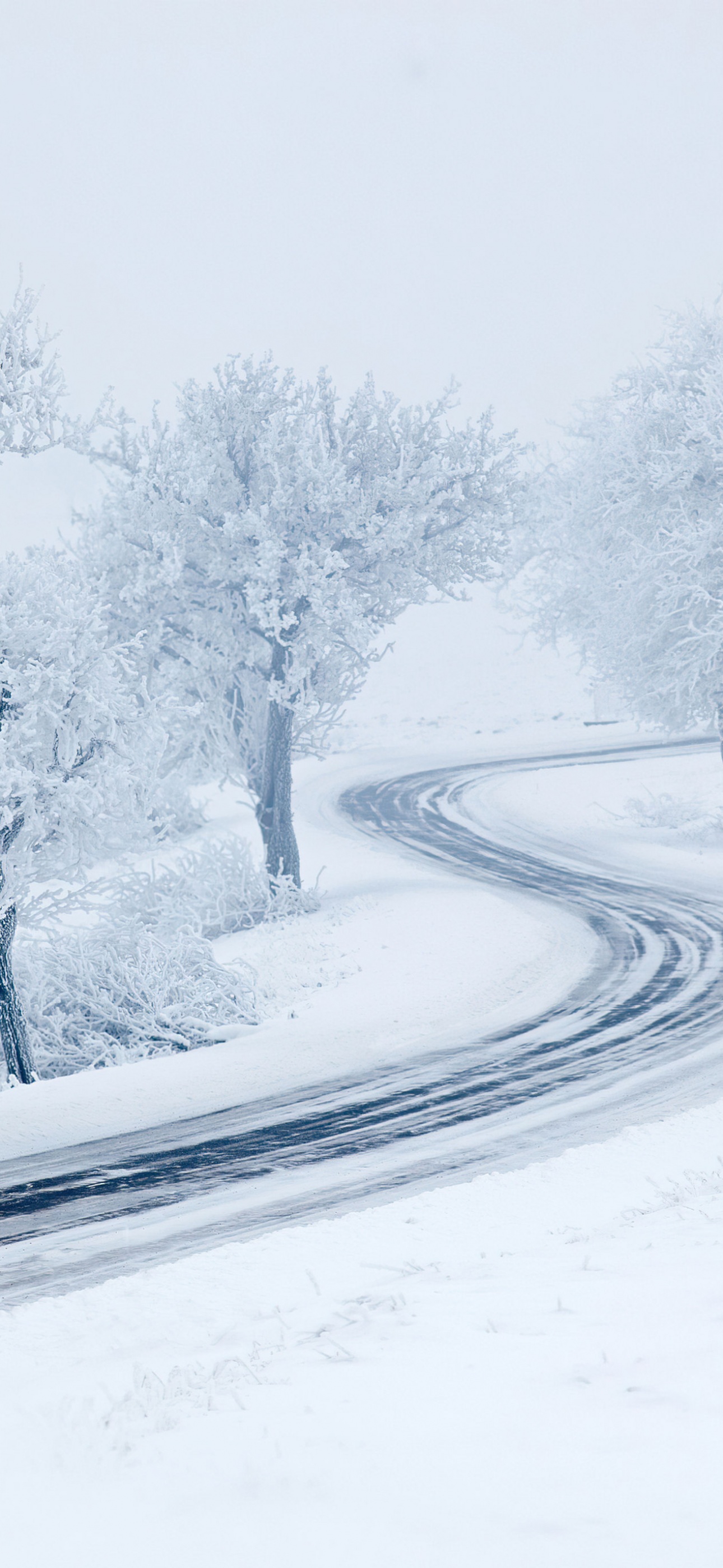 Winter iPhone Wallpaper and Background