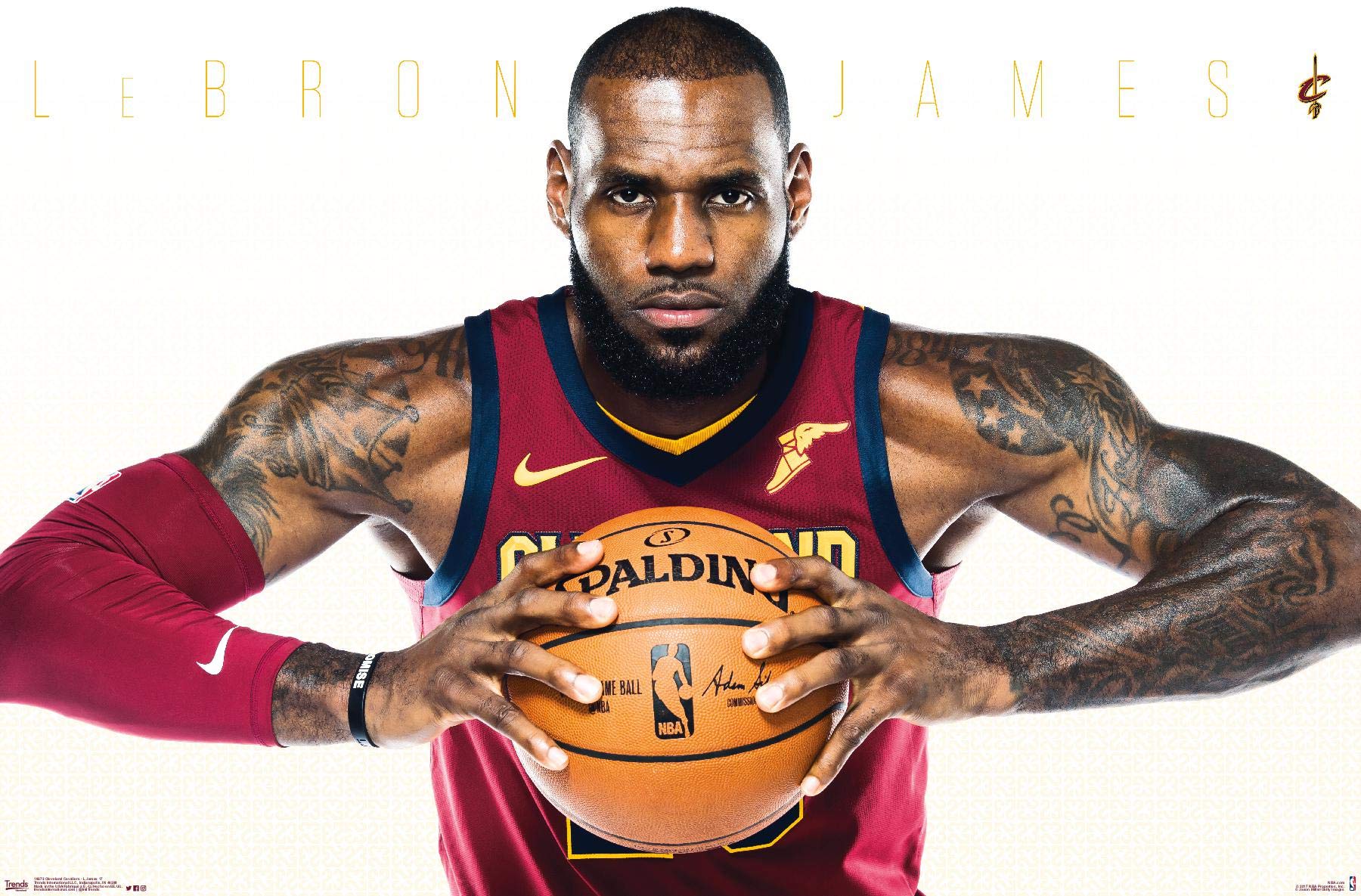 Trends International NBA Cleveland Cavaliers James Wall Poster, 22.375 x 34, Premium Unframed: Posters & Prints