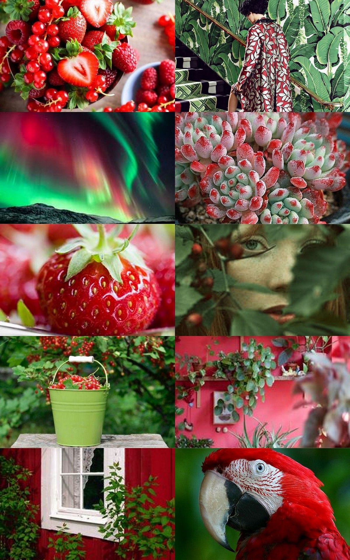 guardofcitadel. Green colour palette, Rainbow aesthetic, Complementary colors