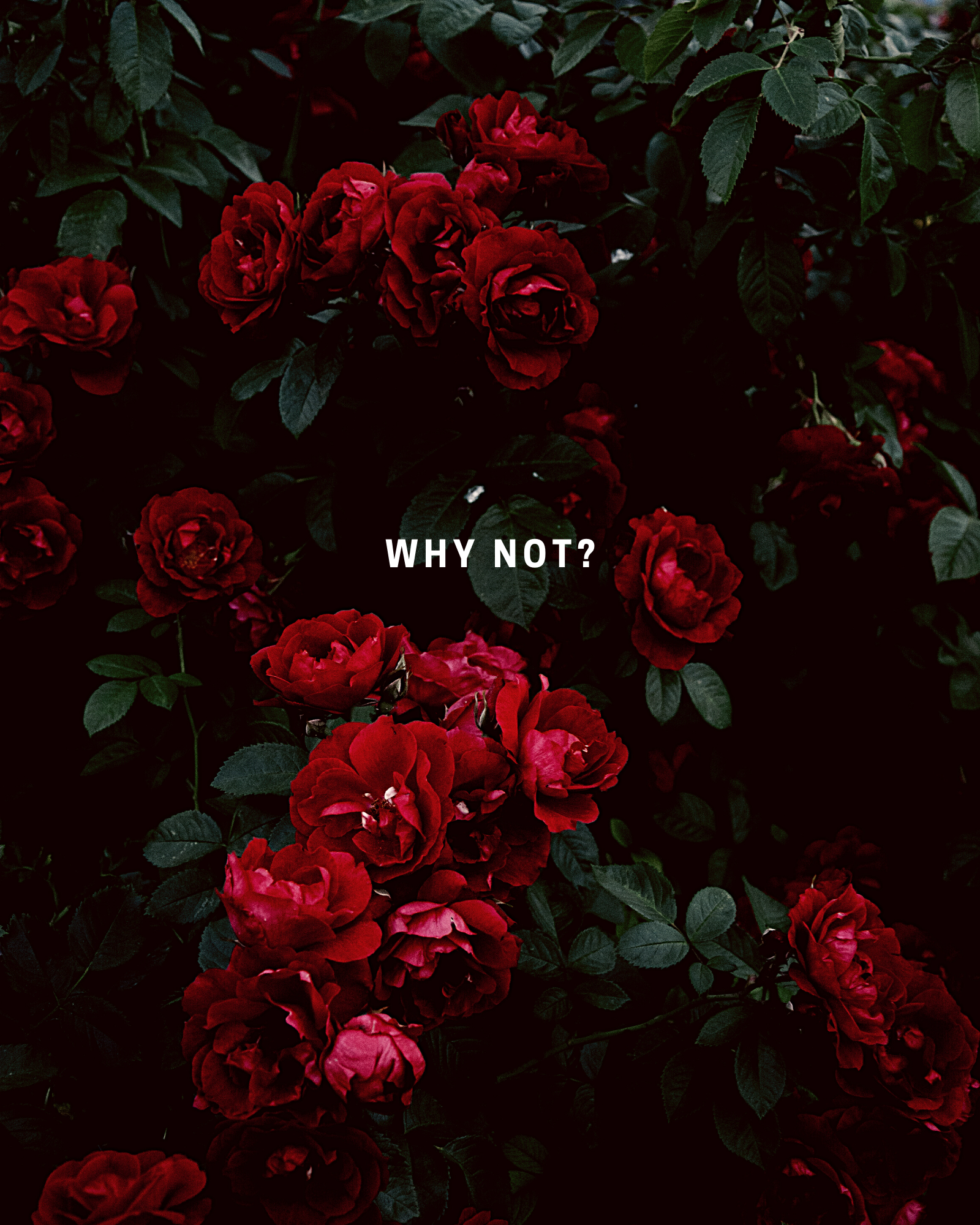 Capricorn ideas. turquoise aesthetic, green aesthetic, mint green aesthetic