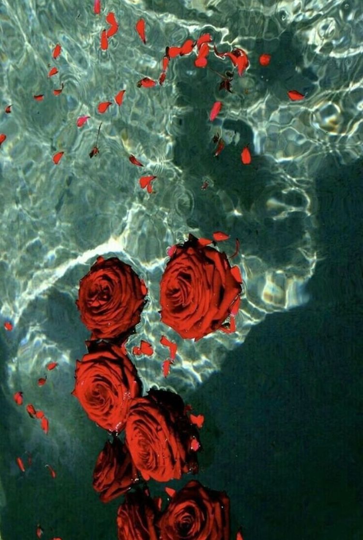 Red Flower Aesthetic Wallpaper