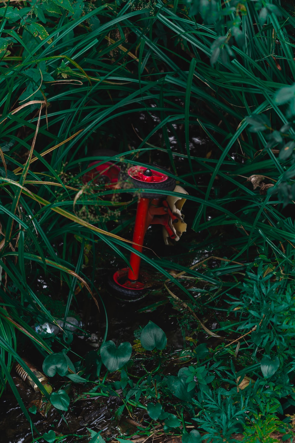 A red fire hydrant surrounded by tall grass photo