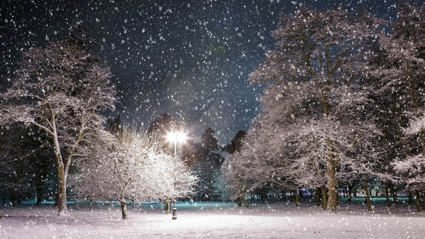 Winter Night Winter Landscape Desktop Wallpaper