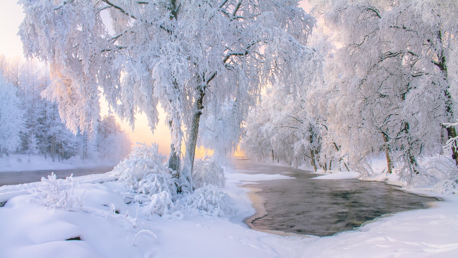 Cerus: Unable To Catch A Reasonable Bid Since FY23E Guidance (NASDAQ:CERS)