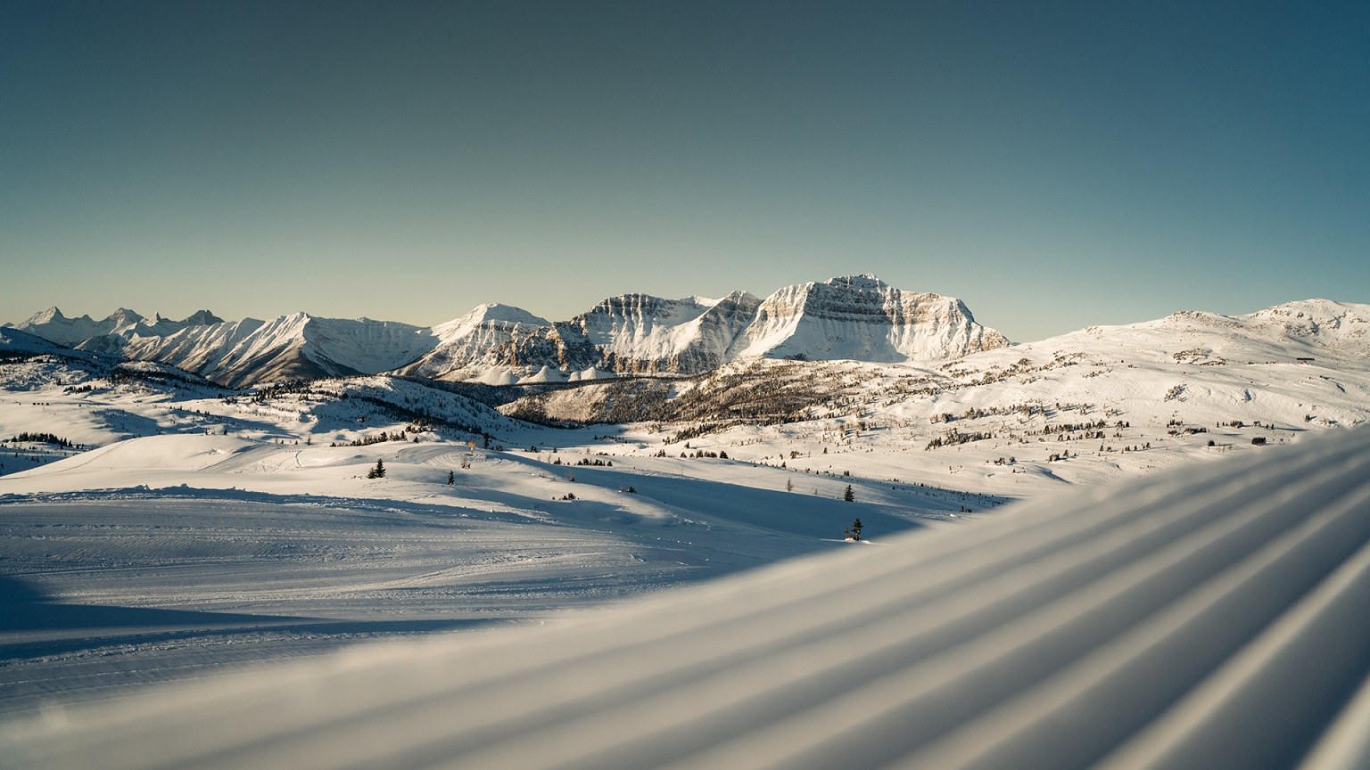 New Sunshine Virtual Background