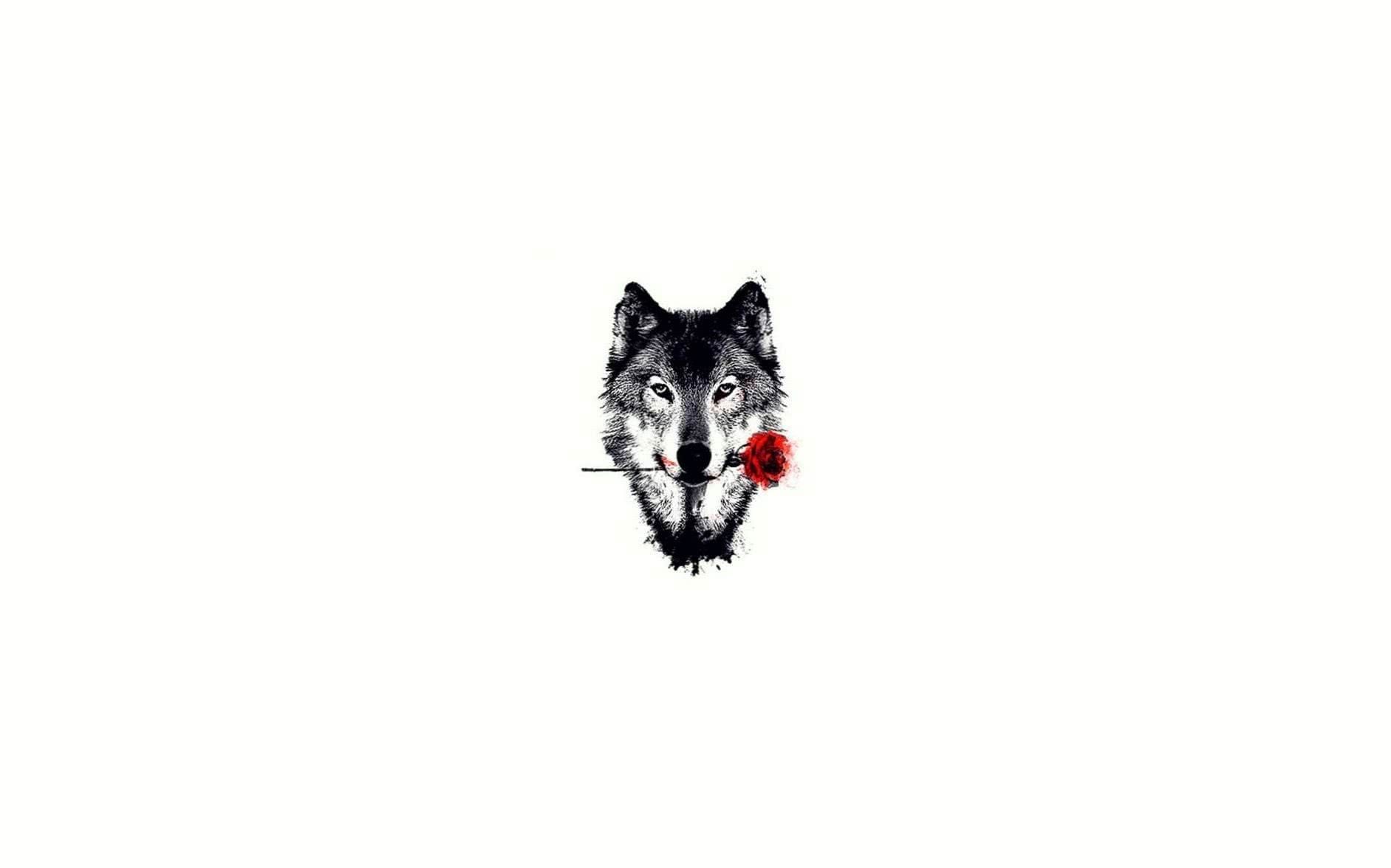 Wolf Rose Wallpaper HD. Rose wallpaper, Digital artwork, Beats wallpaper