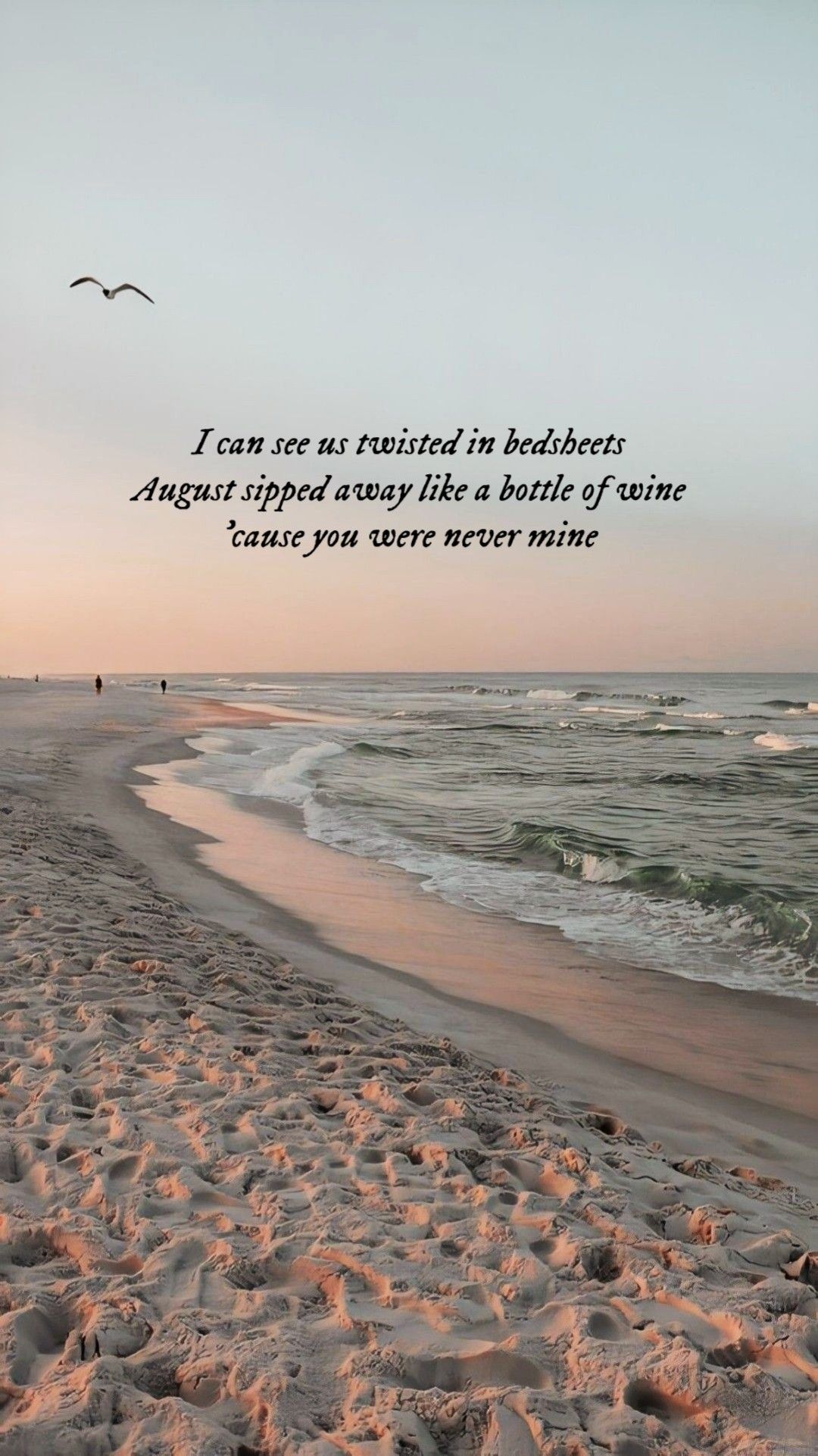 Taylor Swift wallpaper. Taylor swift lyrics, Taylor swift wallpaper, Taylor swift songs