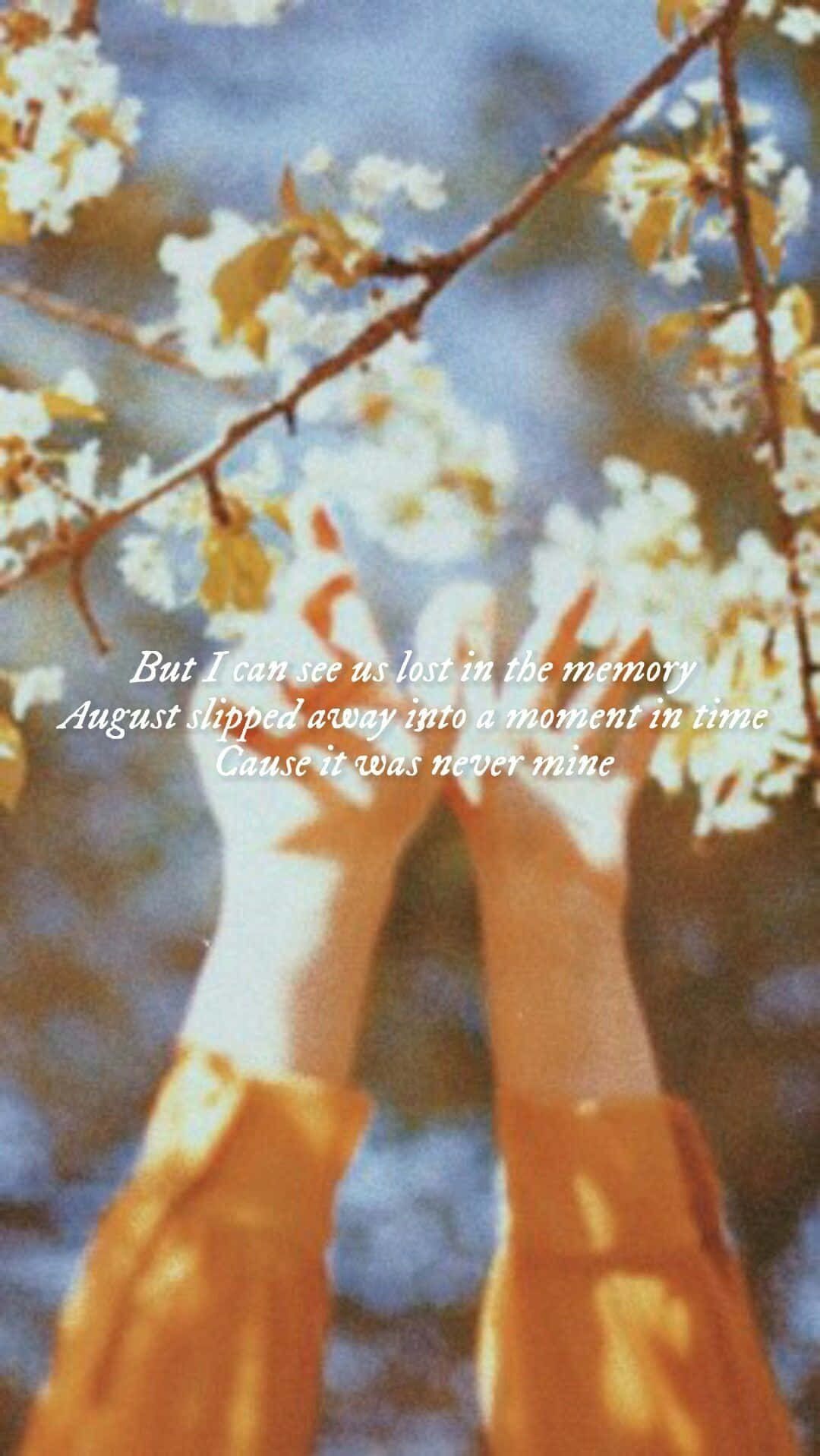 Download August Taylor Swift Lyrics Wallpaper