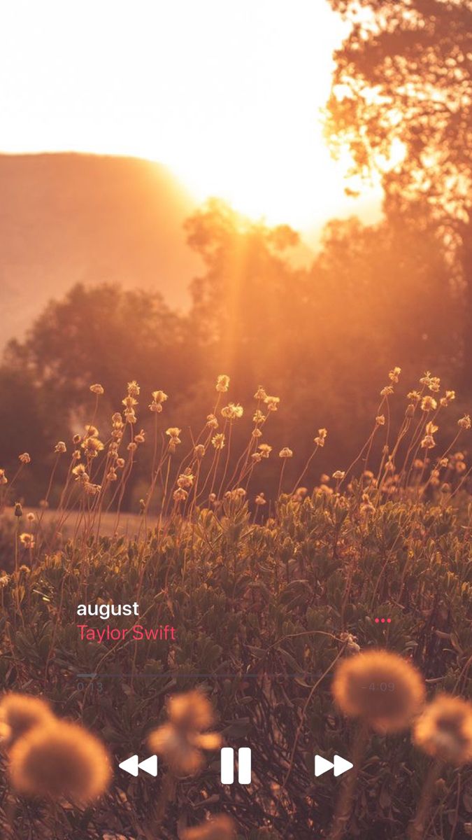 MUSIC PLAYER AESTHETIC SWIFT. Taylor swift wallpaper, Taylor swift lyrics, Taylor swift playlist