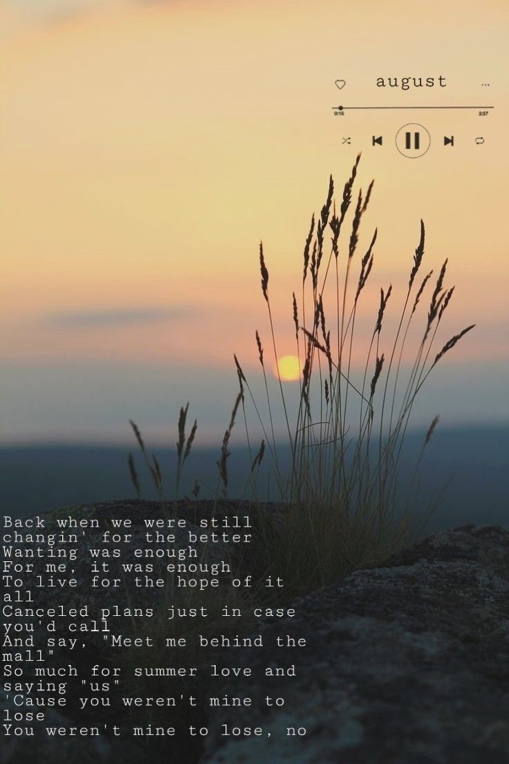 Taylor Swift, august folklore. Taylor swift lyrics, Taylor swift discography, Taylor swift songs