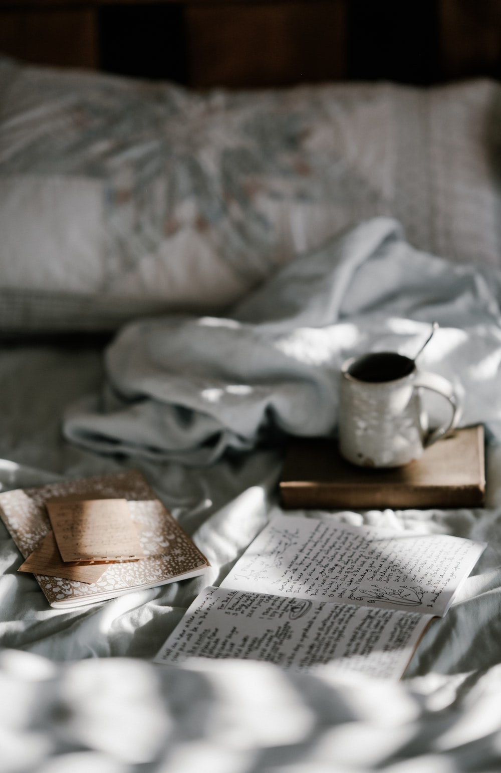 Cozy Reading Picture. Download Free Image
