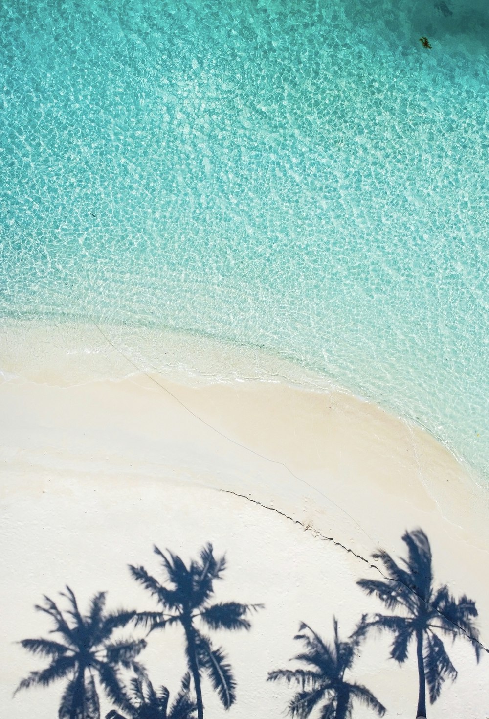 Beach Ocean Picture. Download Free Image