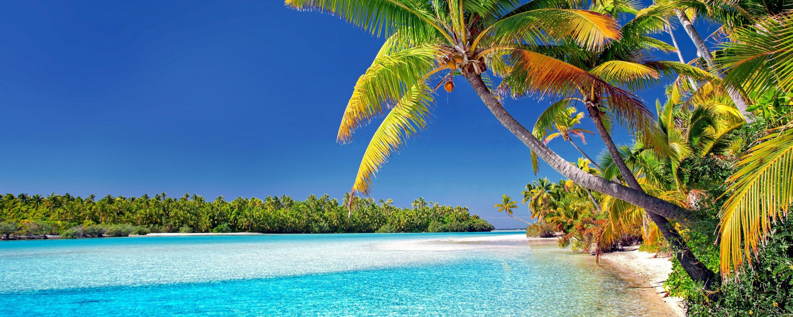 Download wallpaper 2560x1024 cook islands, beach, sunny day, palm trees, dual wide 21:9 2560x1024 HD background, 18933