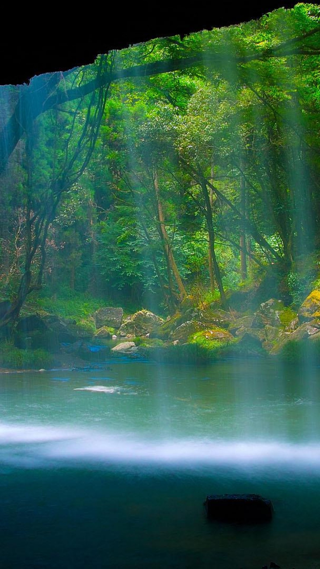 Download Free Rainforest Waterfall Full HD Wallpaper iPhone 6 / 6S Plus