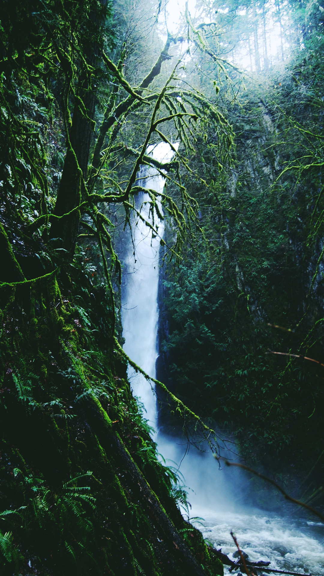 The iPhone Wallpaper Rainforest waterfall