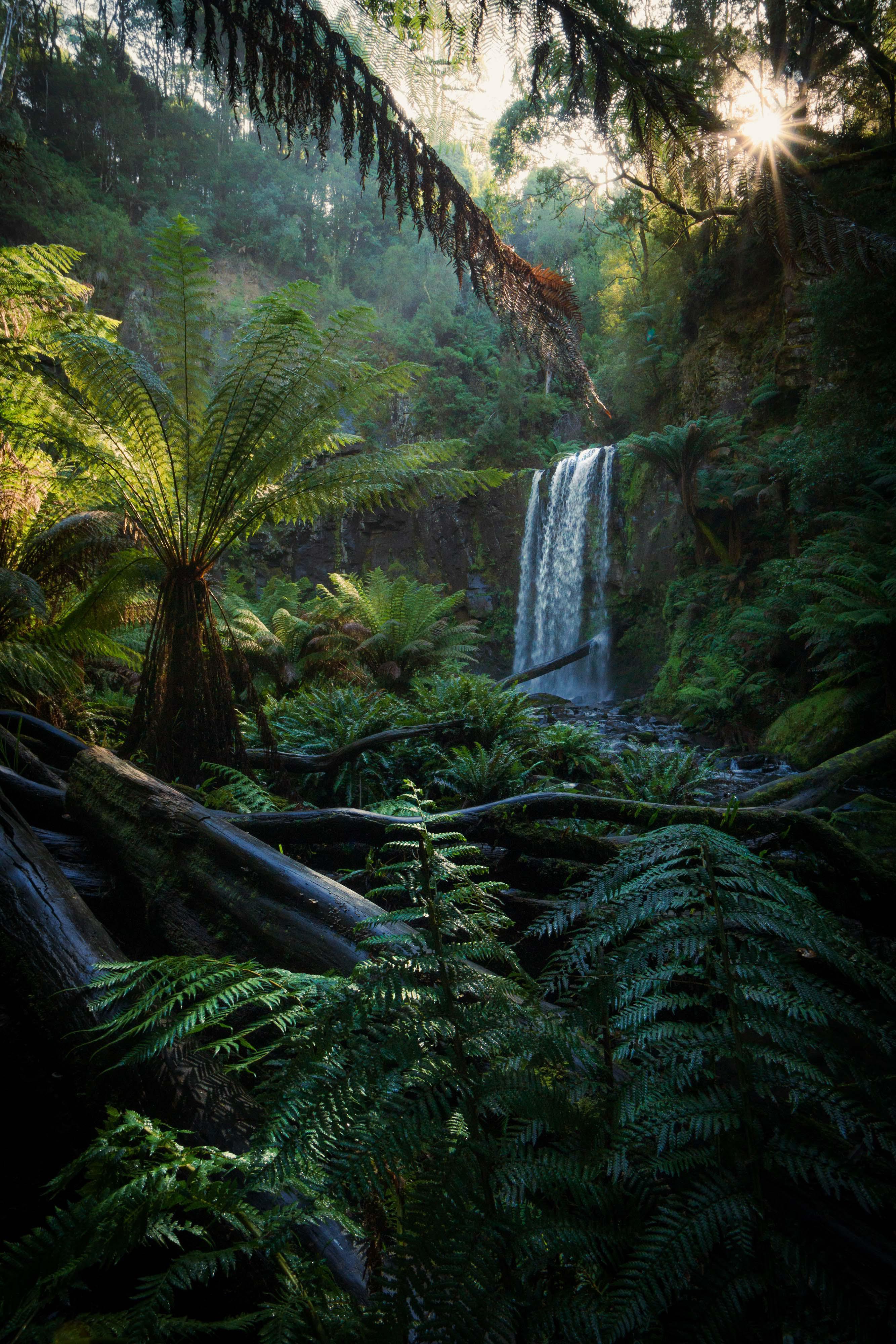 ITAP of a waterfall in the morning