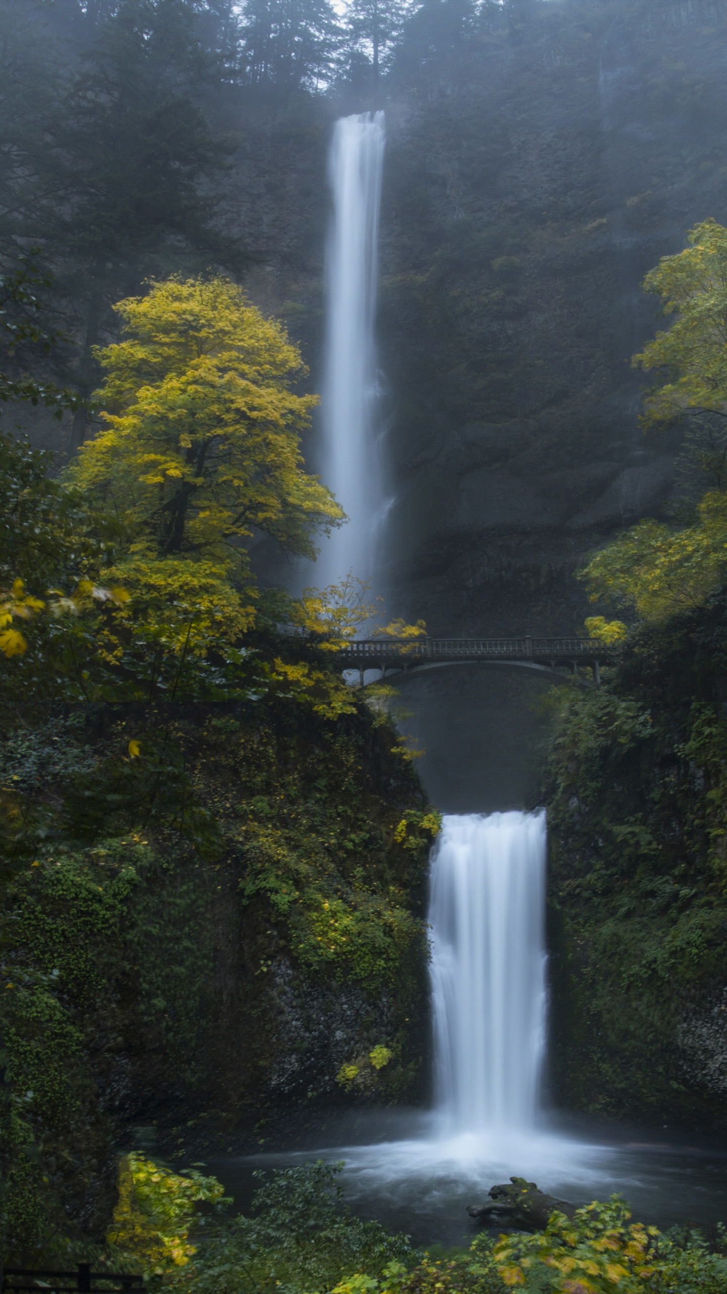 Multnomah Falls Wallpaper 4K, Oregon, Forest, Waterfalls