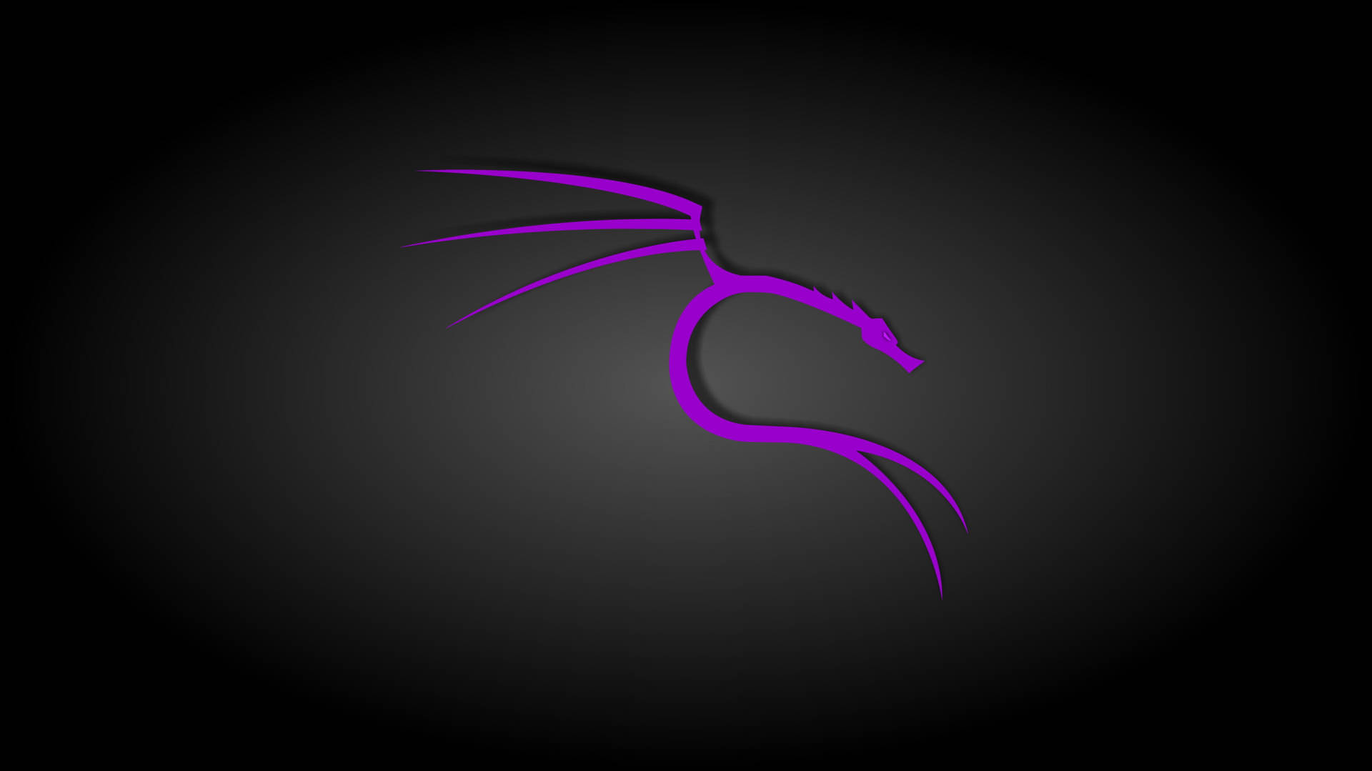 Download Black And Purple Aesthetic Kali Linux Wallpaper