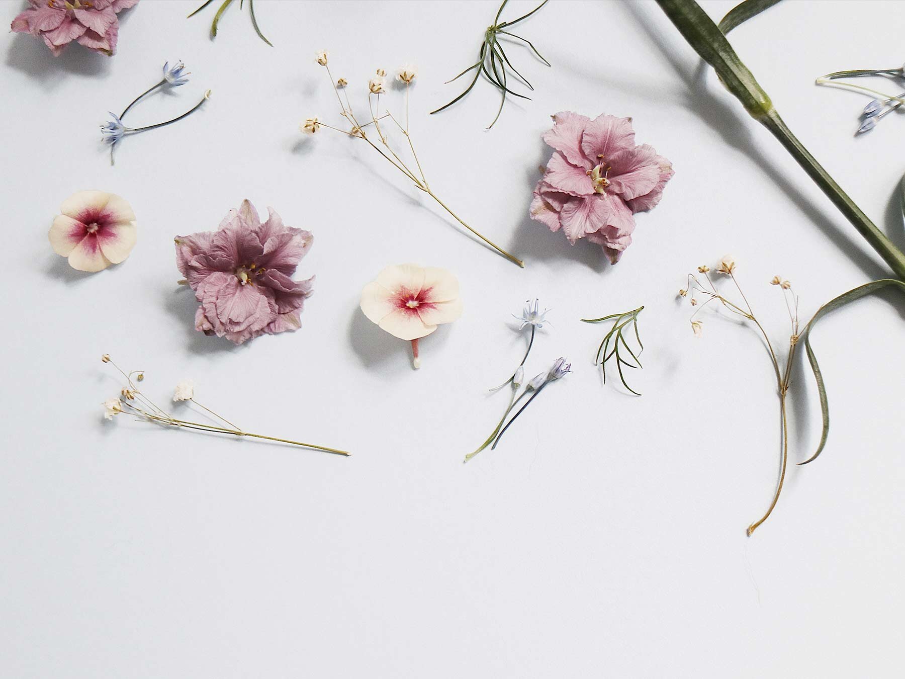 Great Flower Ideas for Your Girlfriend