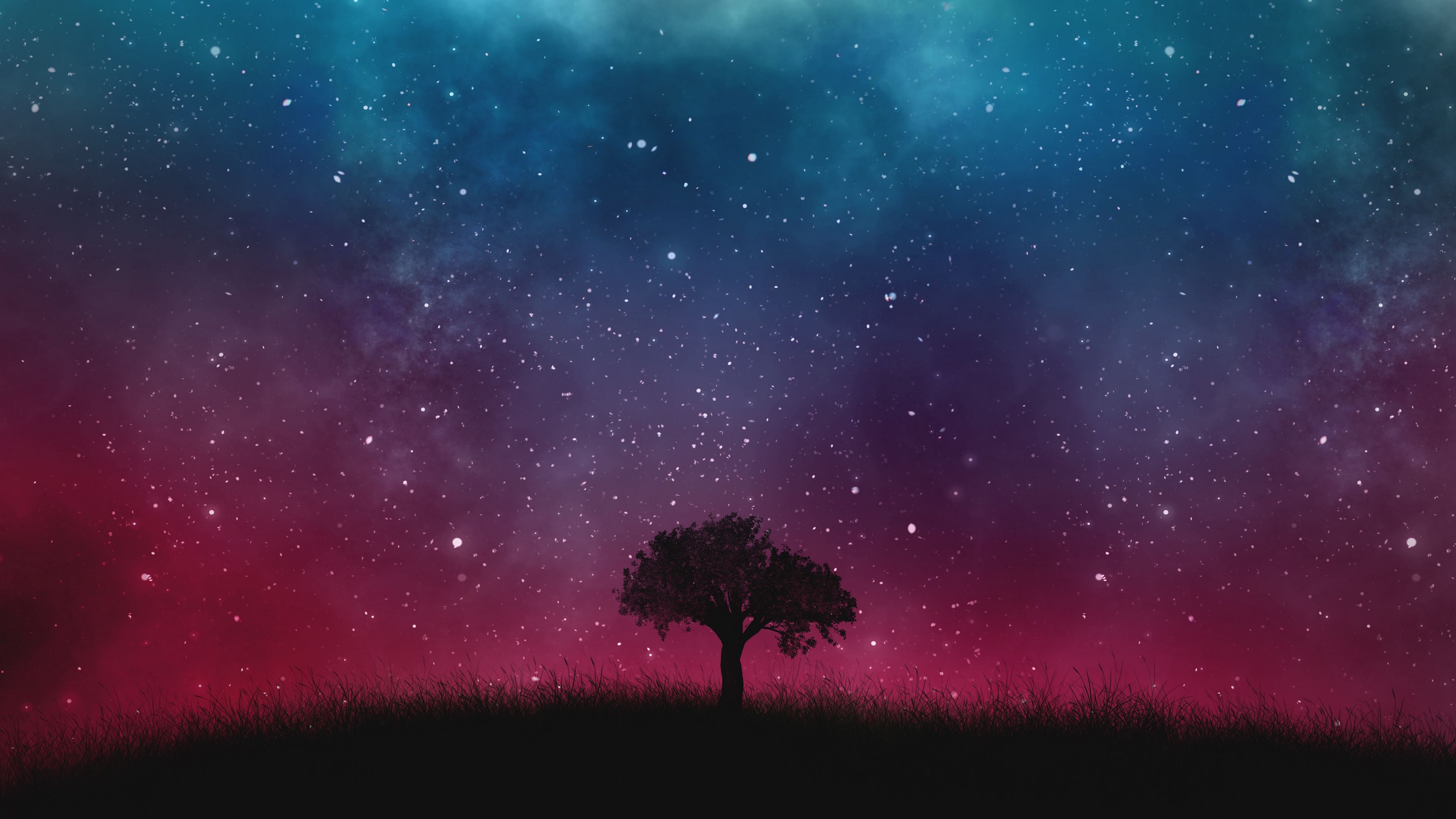 Download wallpaper 3840x2160 starry sky, night, tree 4k uhd 16:9 HD background