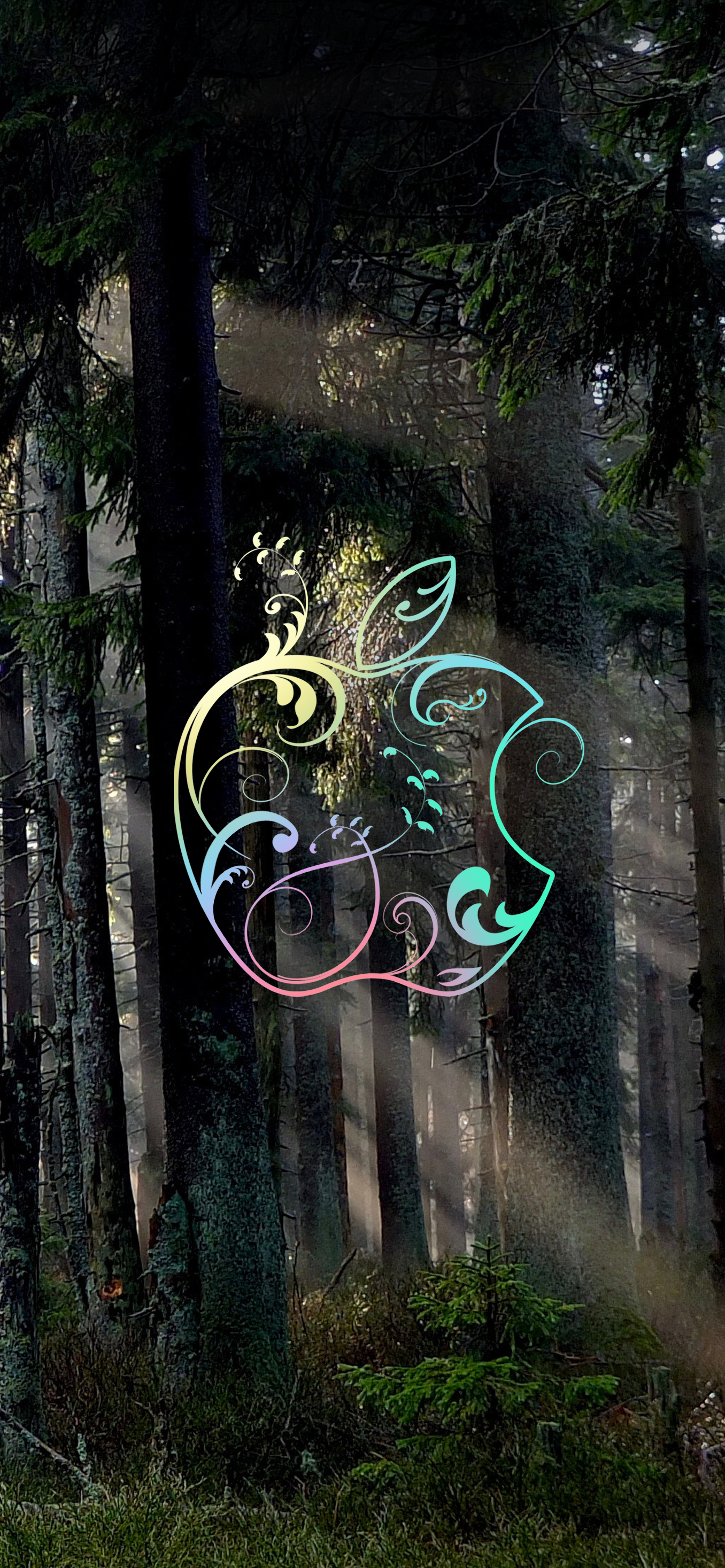 Download our exclusive Rainforest Wallpaper for iPhone 11