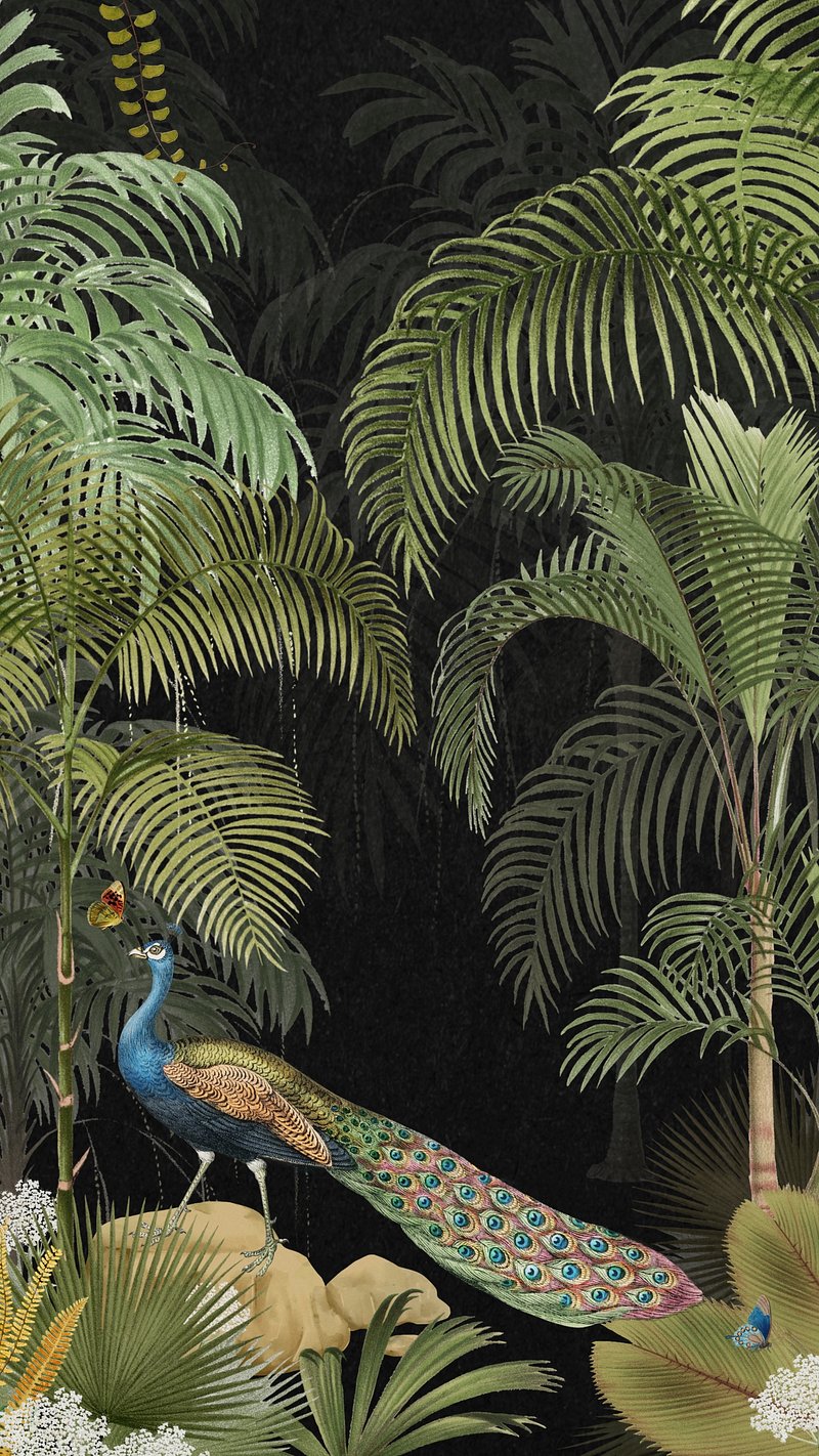 Jungle Animals Image. Free HD Background, PNGs, Vectors & Illustrations