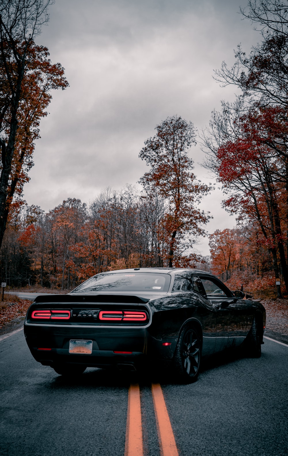Dodge Challenger Picture. Download Free Image