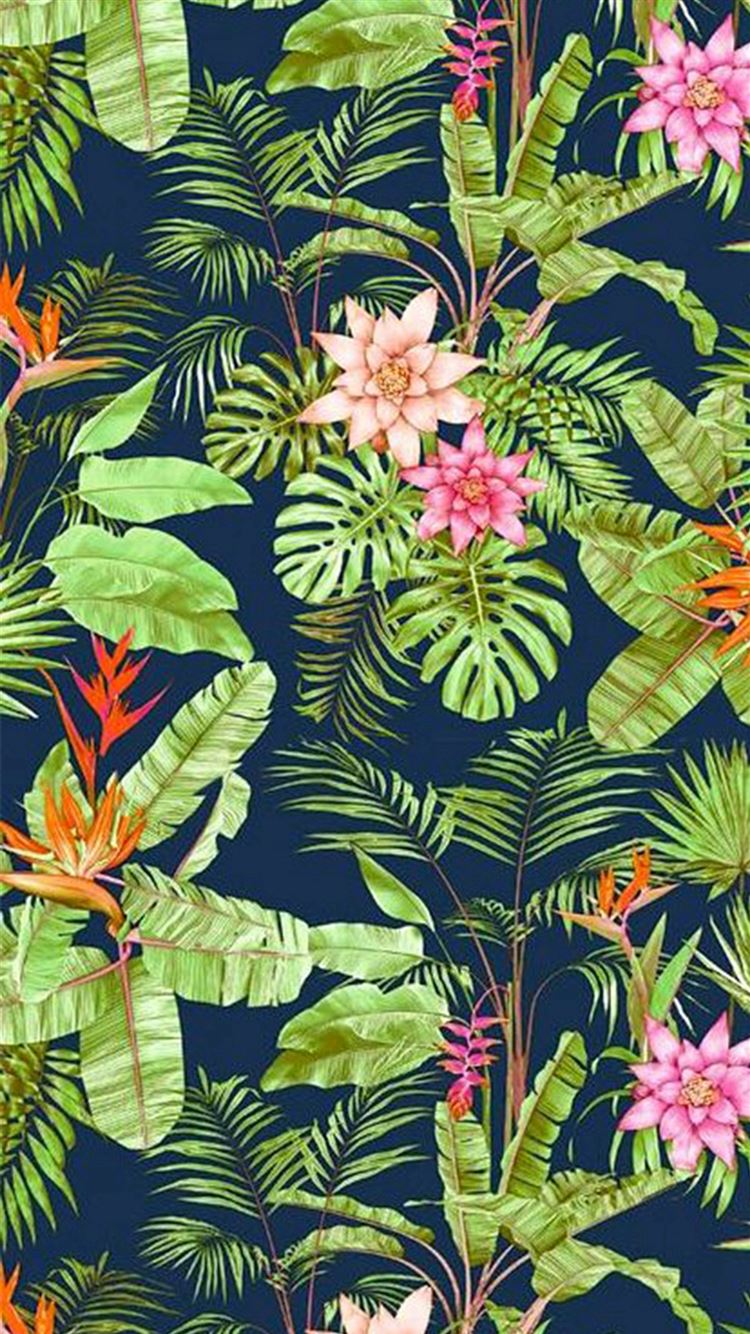 Flowers Jungle Vegetation iPhone 8 Wallpaper Free Download