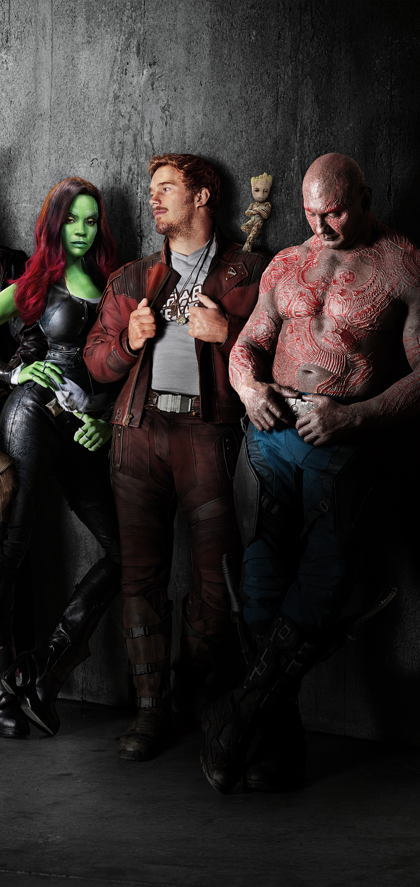 Mobile wallpaper: Movie, Zoe Saldana, Star Lord, Drax The Destroyer, Gamora, Groot, Chris Pratt, Dave Bautista, Peter Quill, Guardians Of The Galaxy Vol 2, Baby Groot, 1425632 download the picture for free