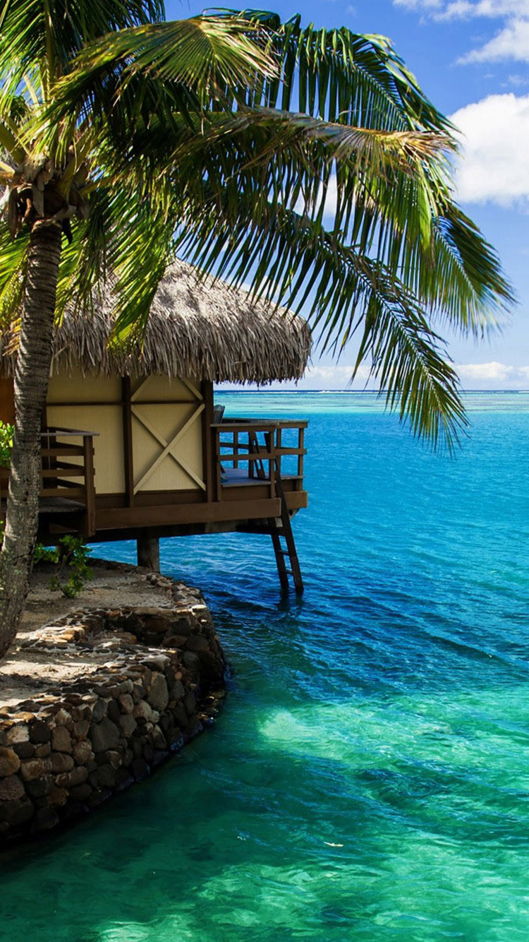 Maldives beach scenery Free Download Wallpaper for Phone
