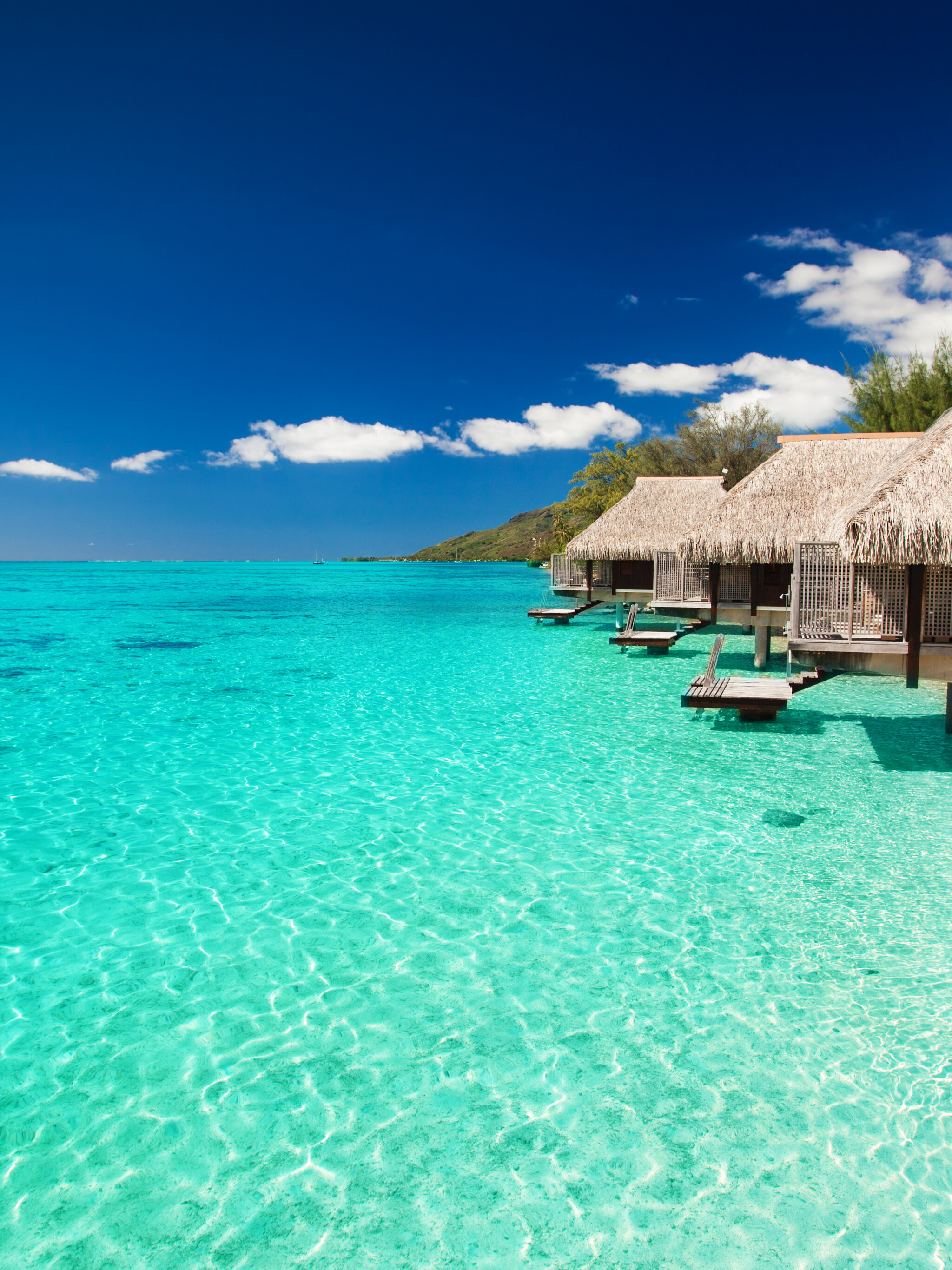 Maldives Wallpaper (image inside)