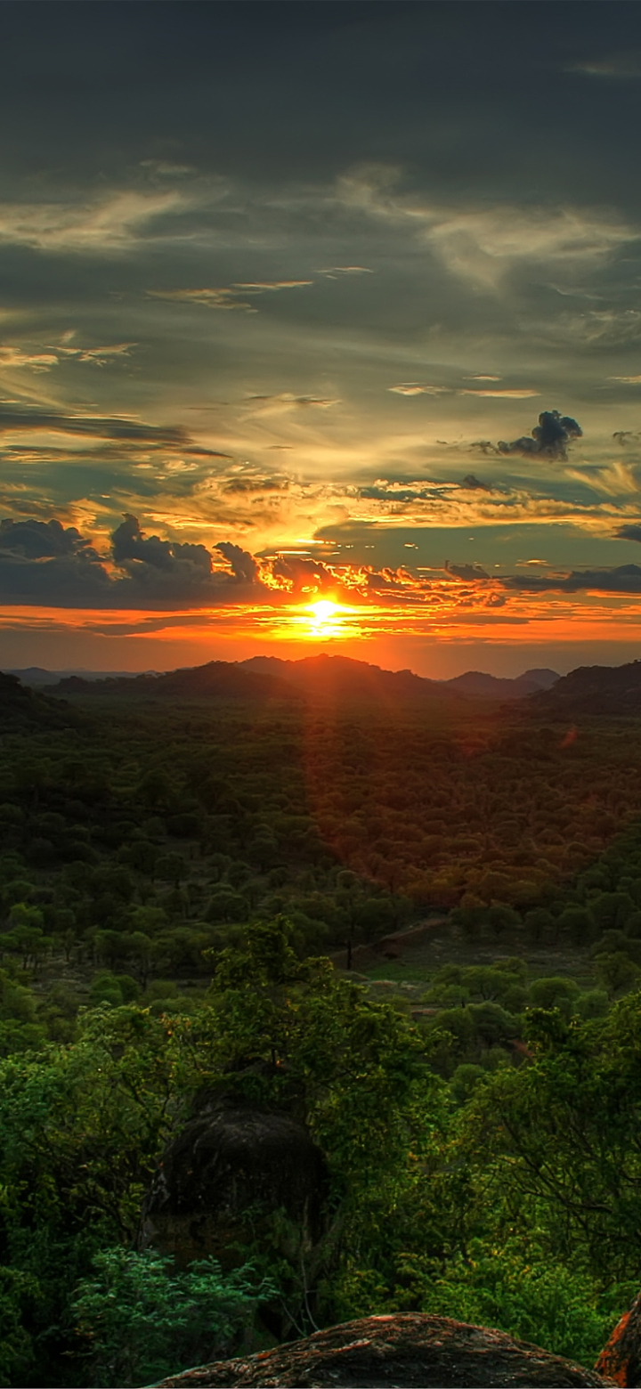 Africa Phone Wallpaper