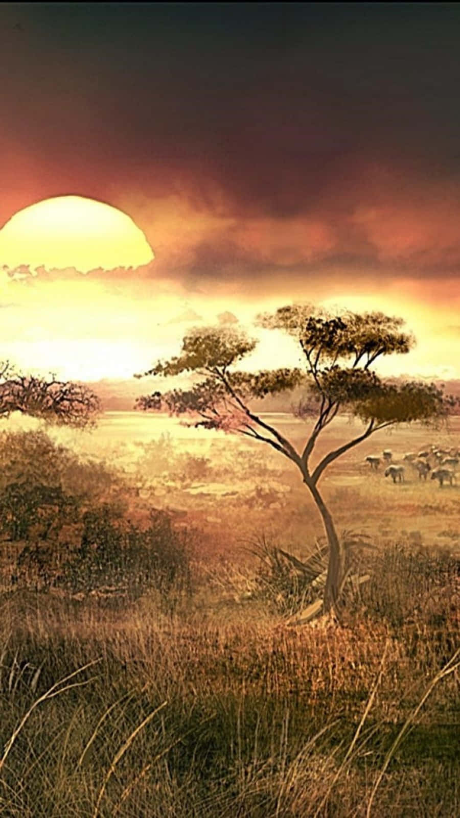 Download A Sunset In The Savannah Wallpaper