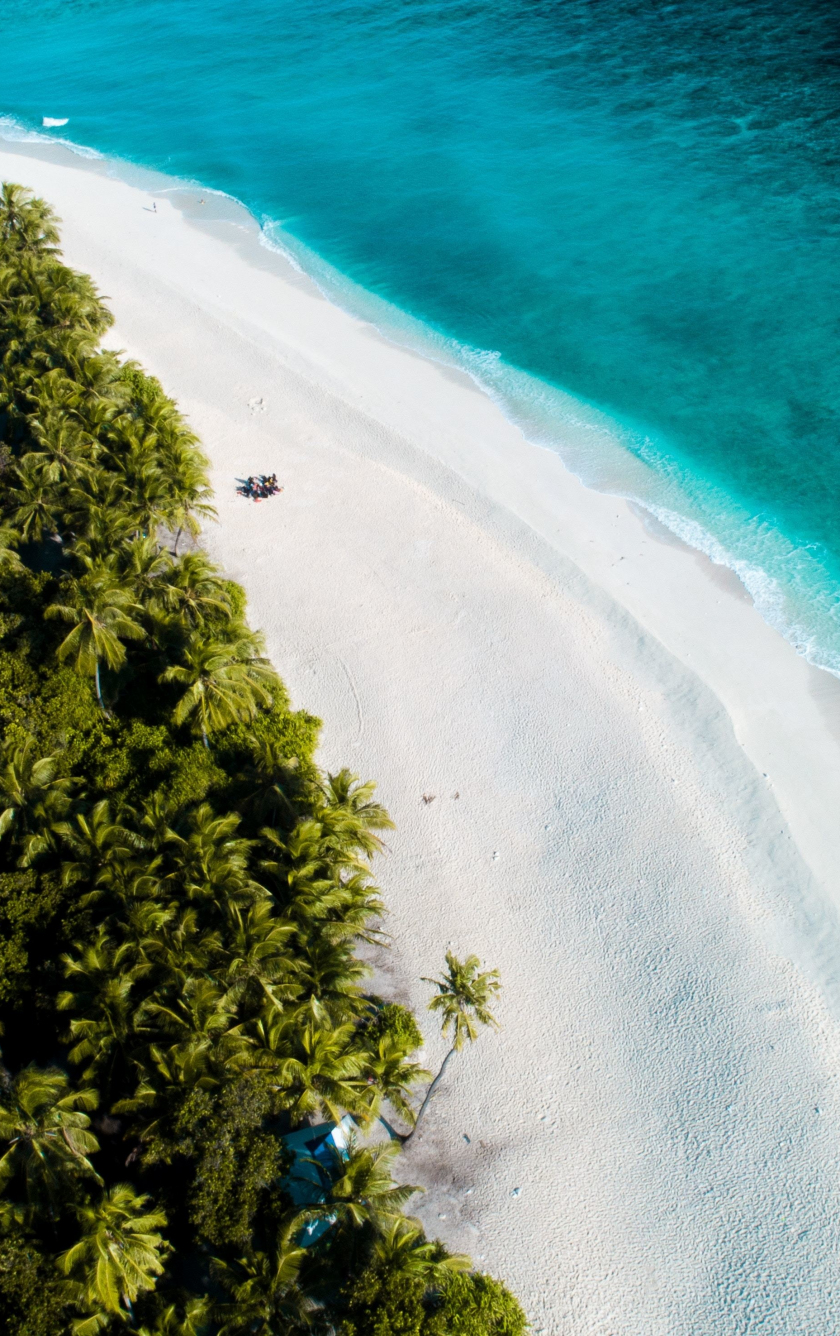 Download wallpaper 840x1336 beautiful, beaches, palms, maldives, iphone 5, iphone 5s, iphone 5c, ipod touch, 840x1336 HD background, 20550