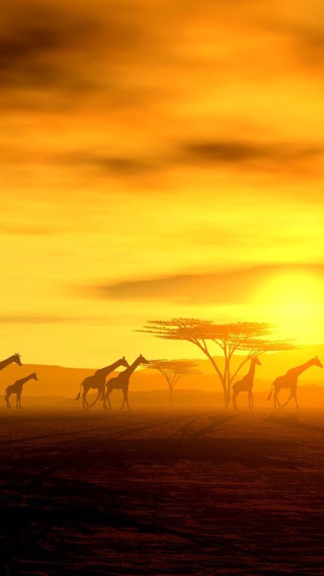 Africa Wallpaper Africa Wallpaper Download