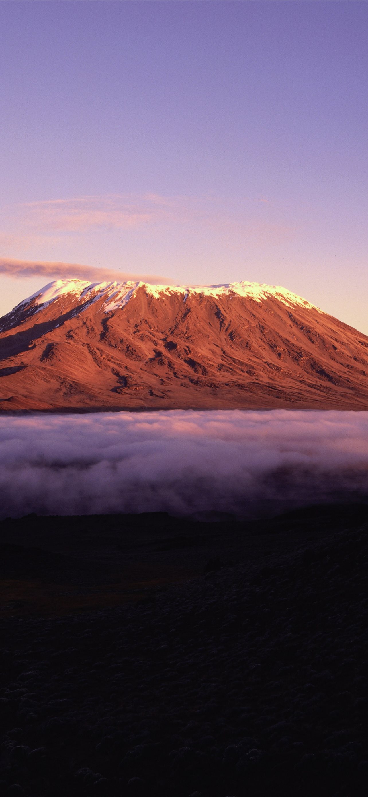 Best Music of africa iPhone HD Wallpaper