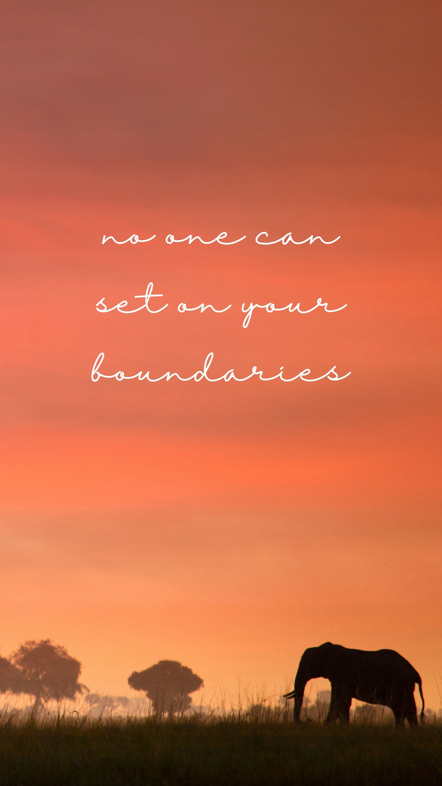 Cute Phone Wallpaper Online