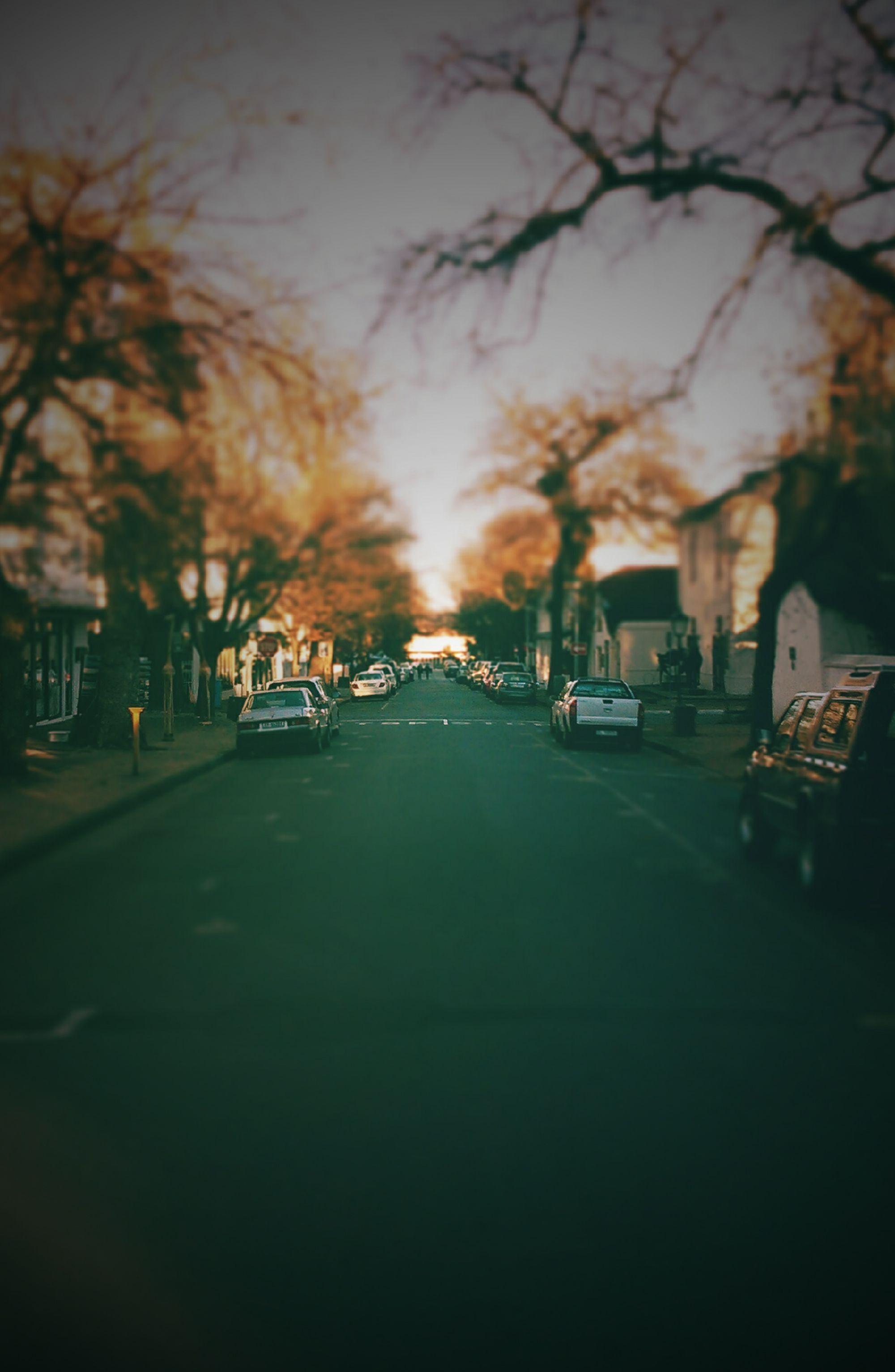 African Phone Wallpaper